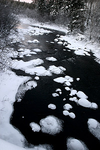 伍迪河沿岸的冬天