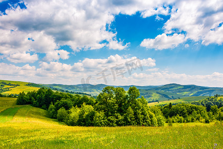 在山的农村夏天风景