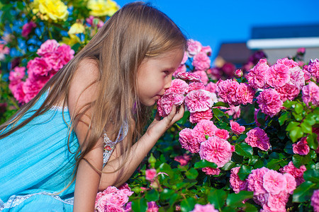 夏日闻着五颜六色花朵的可爱小女孩