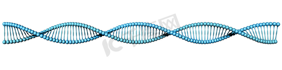 在白色的 DNA 螺旋