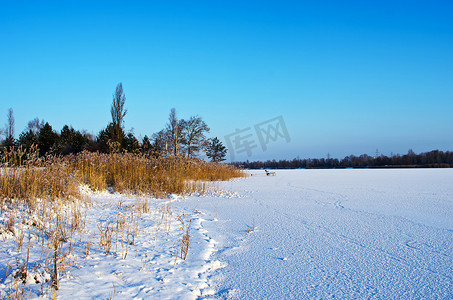 冬天湖边芦苇丛中的冰