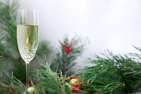 圣诞作文、香槟、松枝、红罗文、金