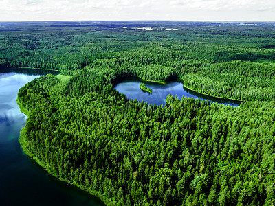 森林湖泊的顶视图。
