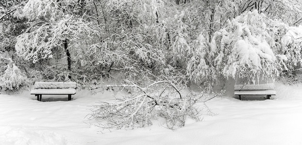 雪林中的长椅，瓦雷泽