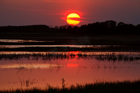 反射萨斯喀彻温省池塘的夕阳