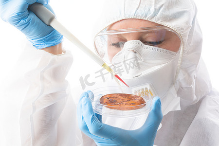 科学家在培养皿上培养传染性病毒或细菌