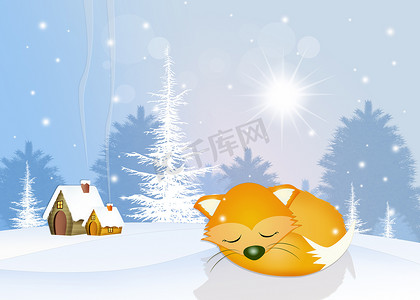 冬眠的狐狸摄影照片_冬眠中的红狐