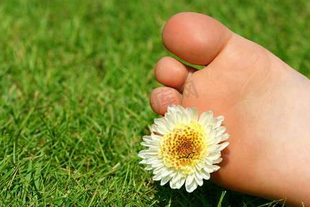 脚和花
