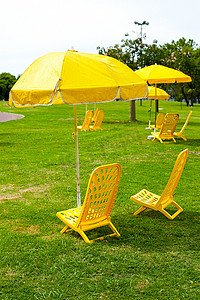 黄色的雨伞和躺椅站在草地上