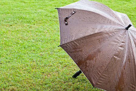 绿草上的棕色雨伞