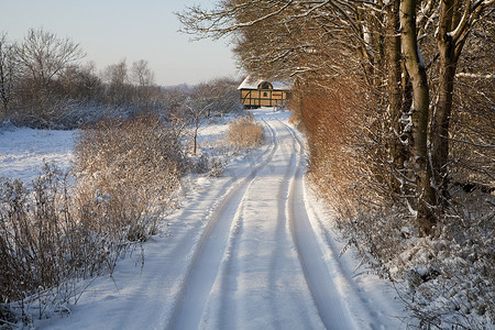 欧洲冬天摄影照片_丹麦的冬天