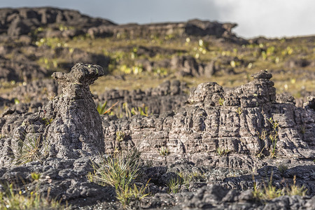 高原 Roraima tepui - 委内瑞拉的奇异古老岩石，