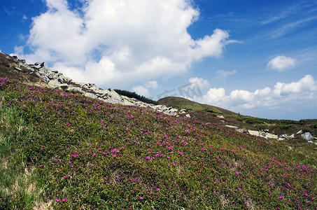 山地高原景观（喀尔巴阡山脉，乌克兰）