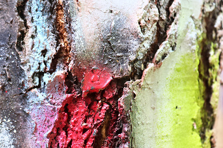 用涂鸦 pai 喷洒的彩色树皮的特写表面