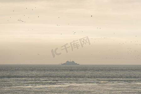 浩瀚船舶摄影照片_瓦登海的旧渡轮被鸟儿包围