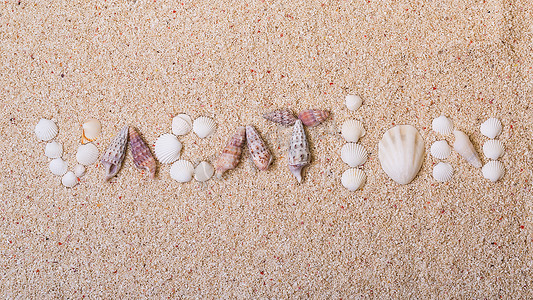 海贝壳与珊瑚沙的标题“假期”