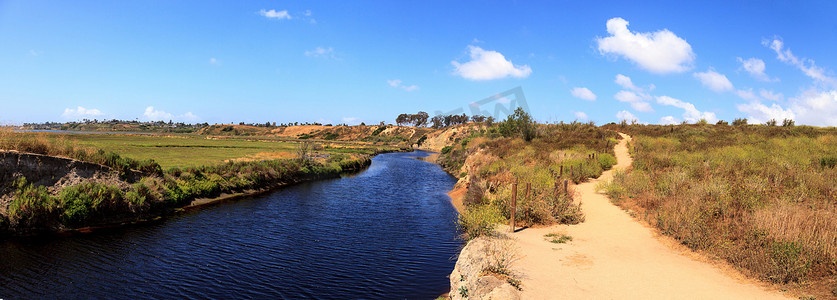 Upper Newport Bay Nature Preserve 远足小径蜿蜒曲折