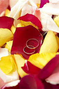 婚礼背景：玫瑰花瓣上的结婚戒指。