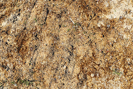 棕色沙地纹理的详细特写视图