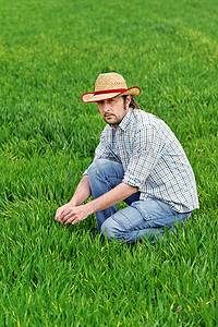 科技耕地摄影照片_农民检查和控制年轻的小麦耕地