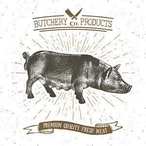培根矢量摄影照片_肉店复古标志猪肉制品，屠宰标志模板复古风格。