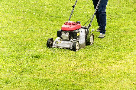 一个女人在夏天修剪她的绿色草坪