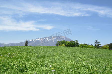 山和草地摄影照片_岩手山和蓝天