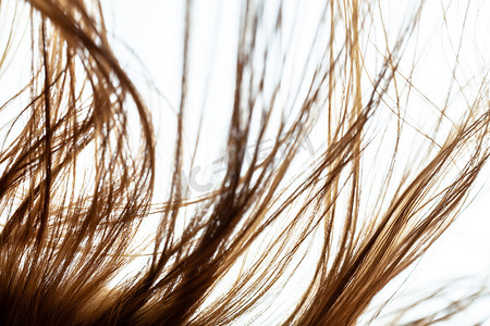 女性真实头发摄影照片_有风的头发。