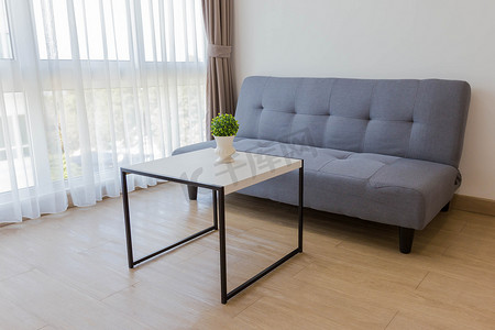 客厅里有桌子和小植物的舒适沙发