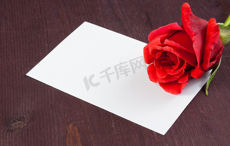 道歉卡摄影照片_红玫瑰和空白礼品卡，用于旧木背景上的文字