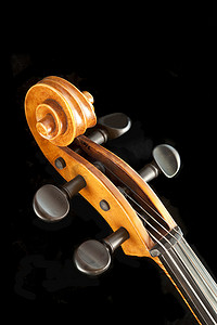 大提琴摄影照片_大提琴或小提琴