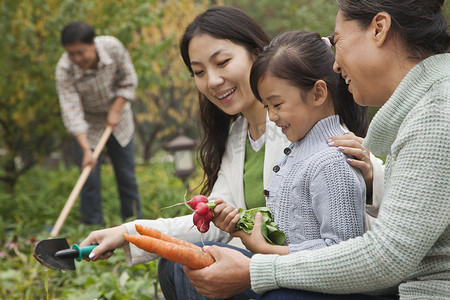 幸福的家庭在花园里收获蔬菜