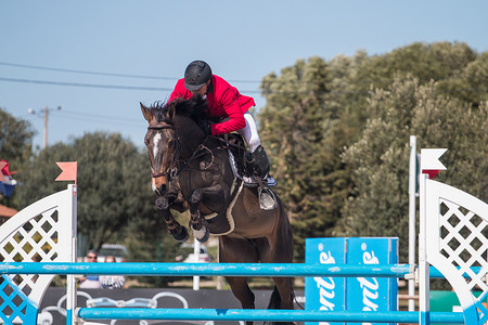 高端易拉宝摄影照片_维拉摩拉，葡萄牙-2016 年 4 月 2 日： 马障碍跳跃比赛