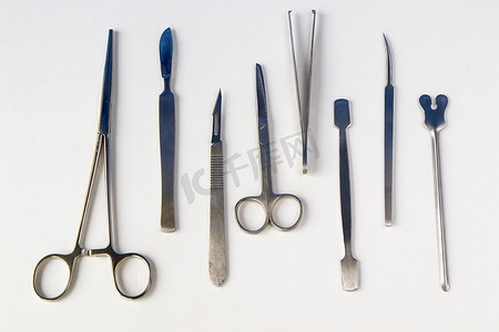 导向器摄影照片_解剖套件 - 供解剖学和生物学医学生使用的不锈钢工具