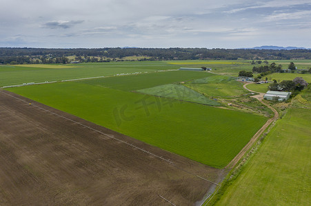 澳大利亚新南威尔士州地区绿色农田鸟瞰图