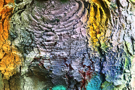 涂鸦涂料摄影照片_用涂鸦 pai 喷洒的彩色树皮的特写表面