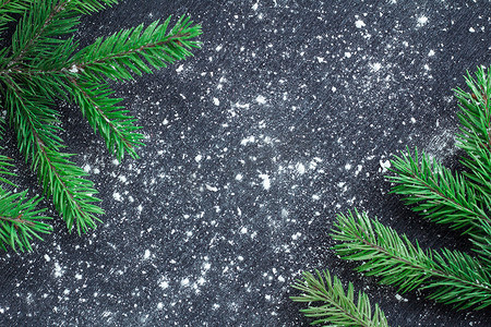 冬季积雪的黑色空间坝上的绿色圣诞树枝