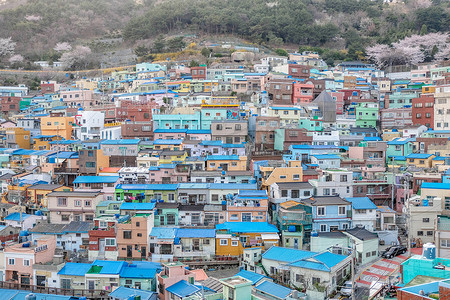 韩国釜山甘川文化村全景。