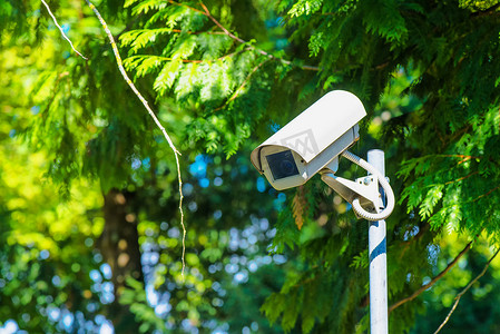 用于监视绿色公园的闭路电视安全摄像机