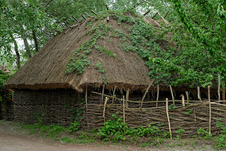 基辅摄影照片_乌克兰基辅露天博物馆茅草屋顶下的传统农民谷仓