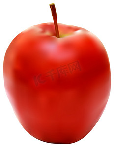 新鲜的红苹果插画