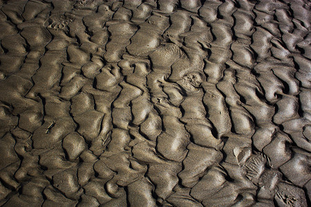 海砂纹理。沙滩上的直行沙子。