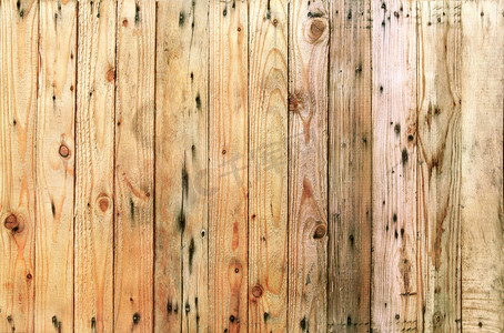竖排摄影照片_竖排排列树皮木材的特写纹理