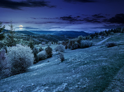 农村大山风景摄影照片_夜间农村山坡上的森林