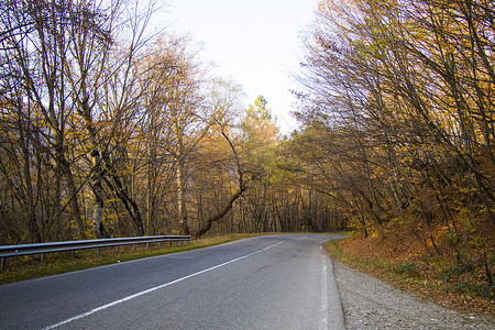 秋空摄影照片_格鲁吉亚空荡荡的公路和道路、秋树和植物以及蓝天