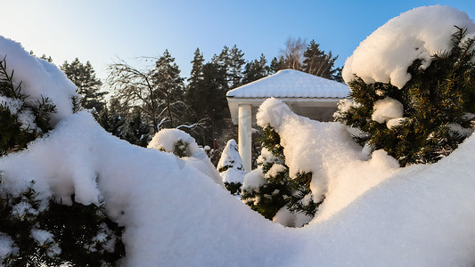 在阳光明媚的日子里，冬季花园覆盖着一层厚厚的白色蓬松雪。