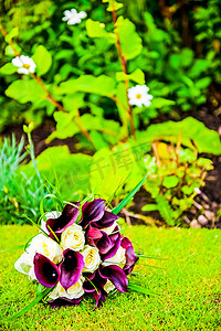 花束图片摄影照片_婚礼花束的图片，紫色马蹄莲百合婚礼花束在草的