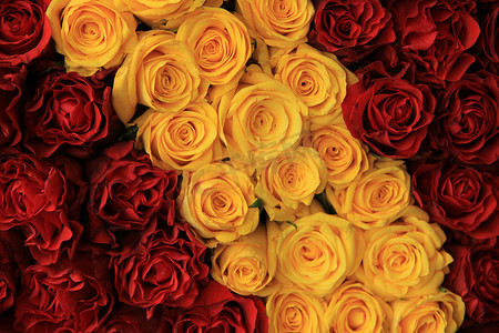 婚礼布置中的红玫瑰和黄玫瑰