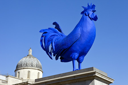 特拉法加摄影照片_特拉法加广场的蓝公鸡