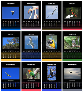 2014 年鸟类日历
